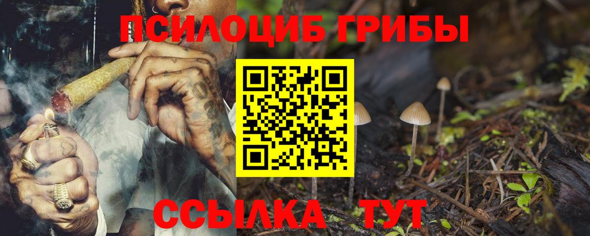 Псилоцибиновые грибы GOLDEN TEACHER  цена   Искитим  Вход с VPN 