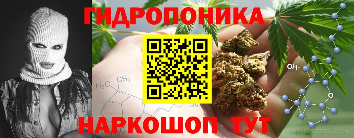Канабис конопля  МАРИХУАНА ГИДРОПОН  Искитим  Вход с VPN  Канабис план 